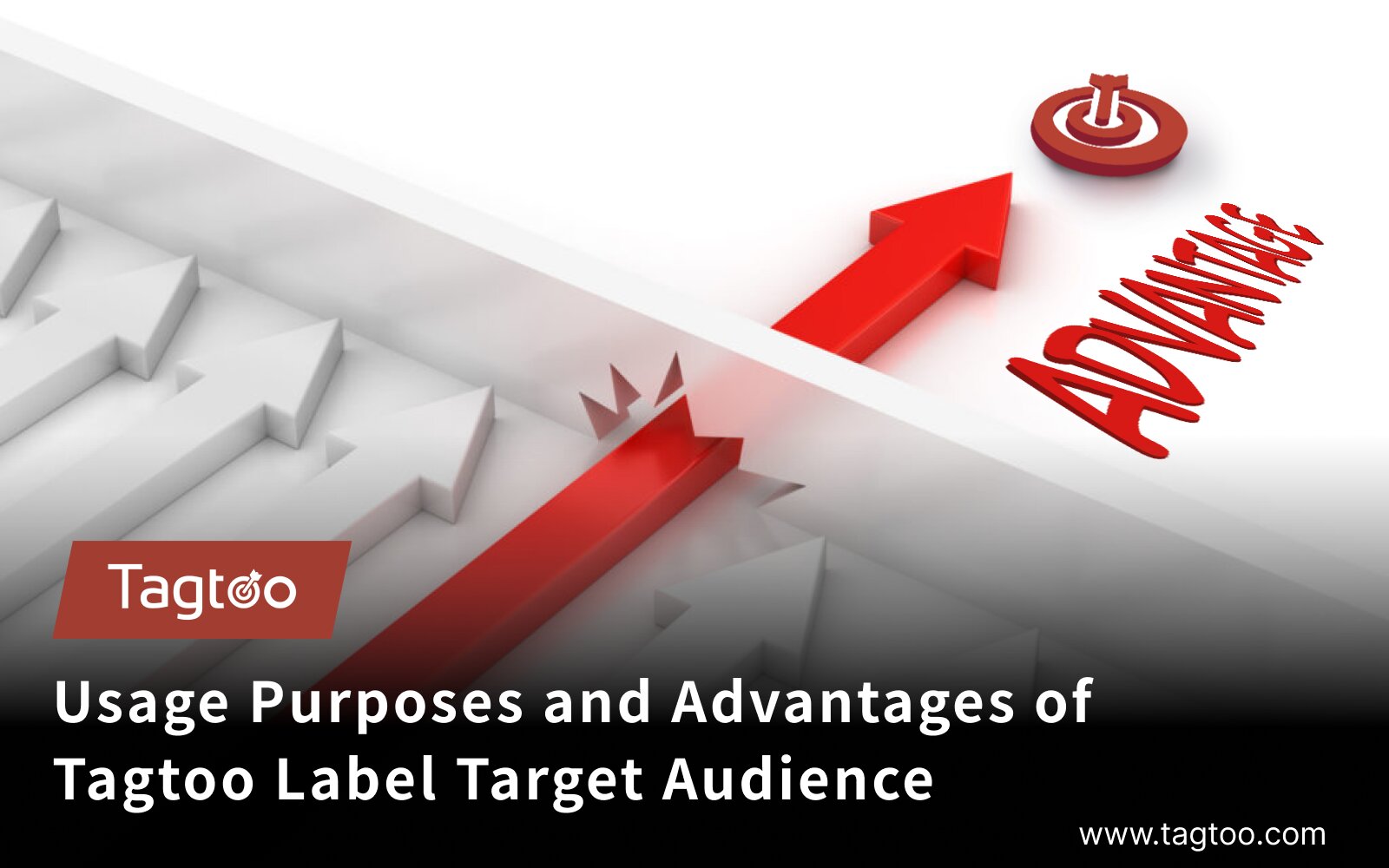 Tagtoo Label Target Audience(LTA): Purpose and Advantages