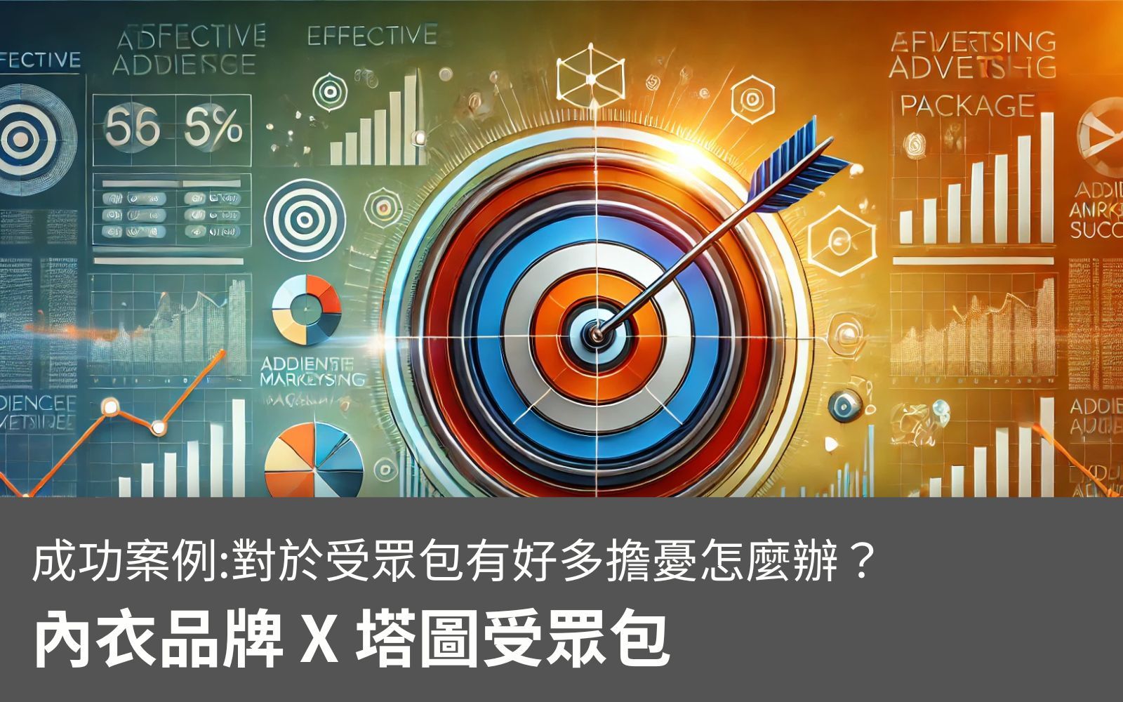 【成功案例】內衣品牌 X 塔圖受眾包