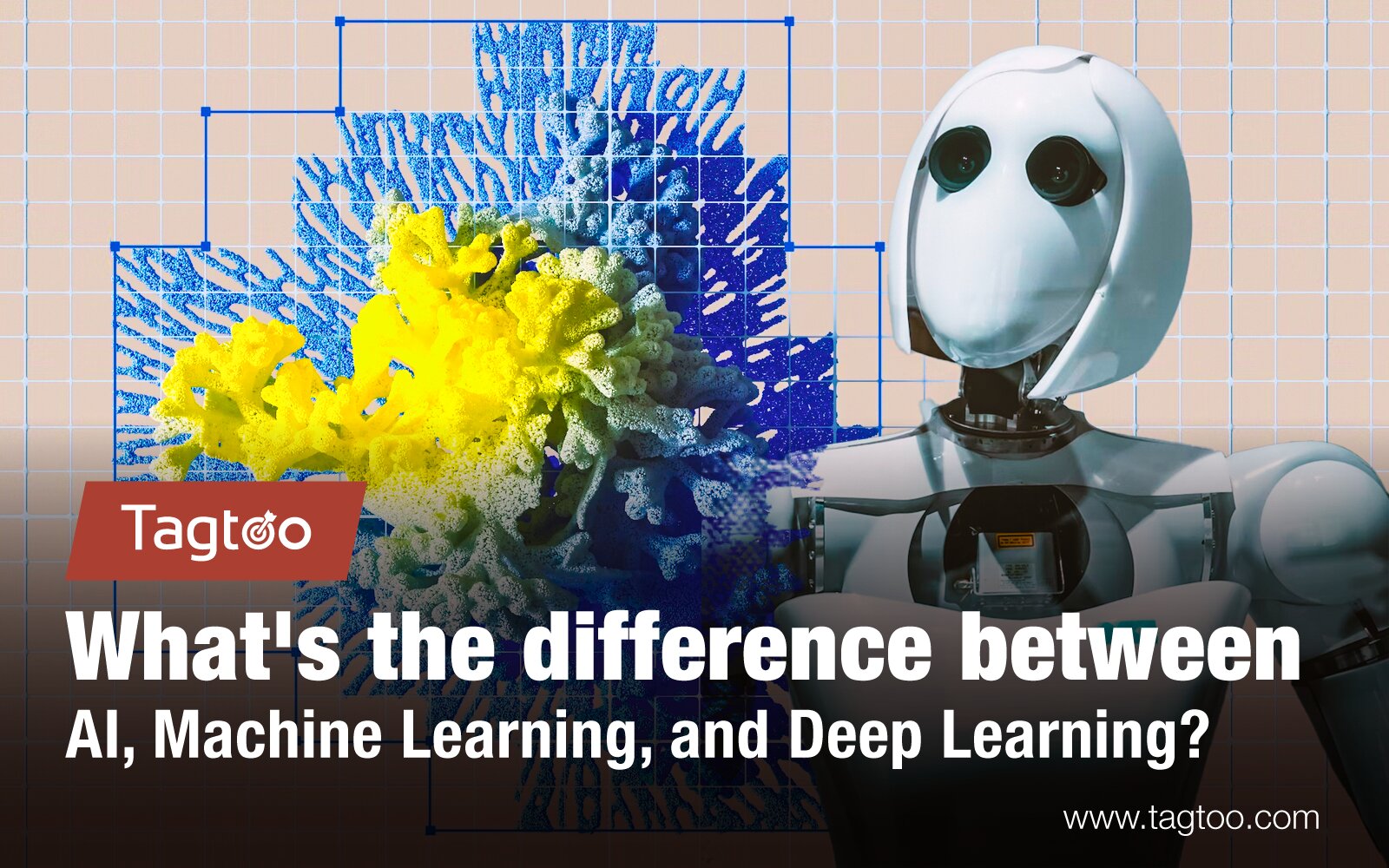 What Is The Difference Between AI, Machine Learning, Deep Learning?